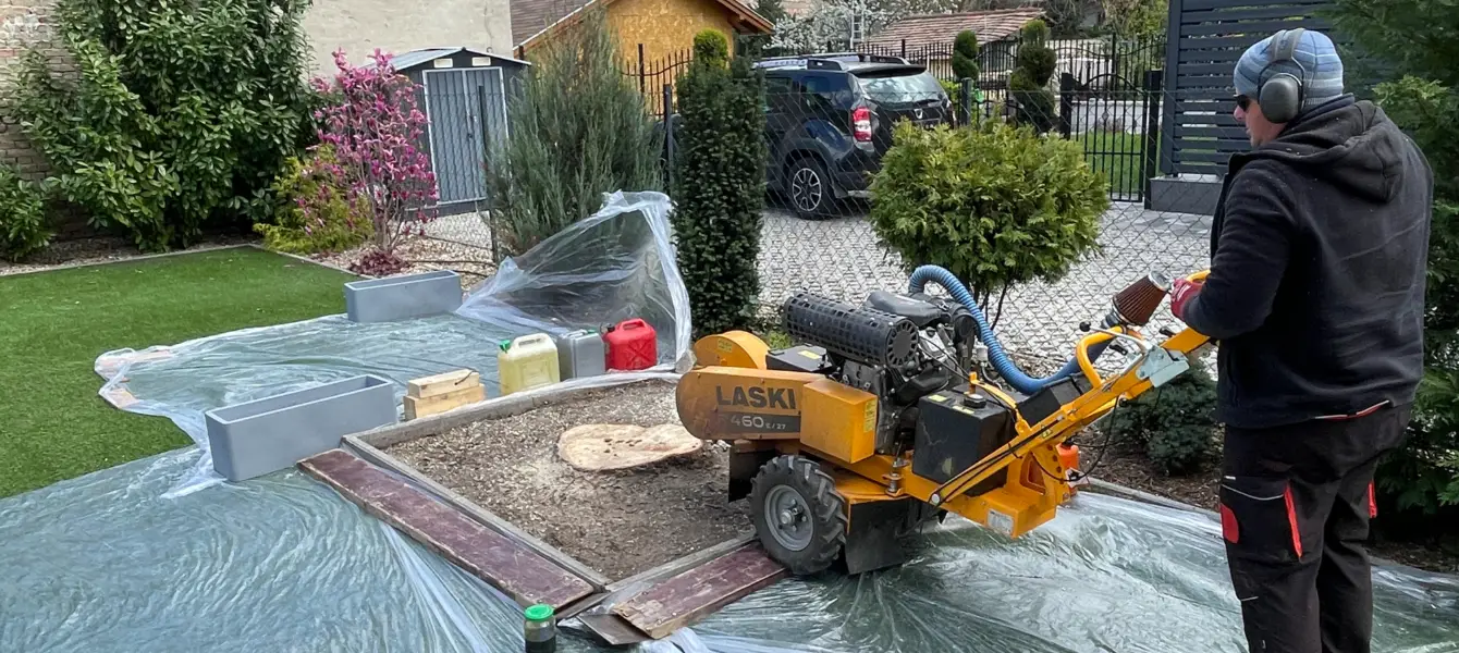 Tuskómarás Zuglóban